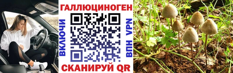 Псилоцибиновые грибы Psilocybe Югорск
